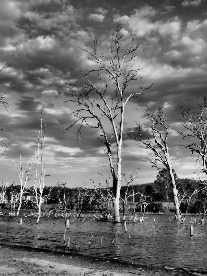 Honour For Digital Moogerah Backwater By Margaret Kemmery