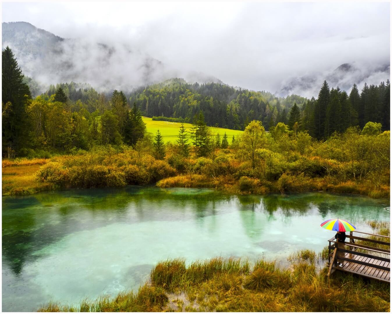 Honour For Digital Zelenci Nature Reserve By Dorothy Harkins