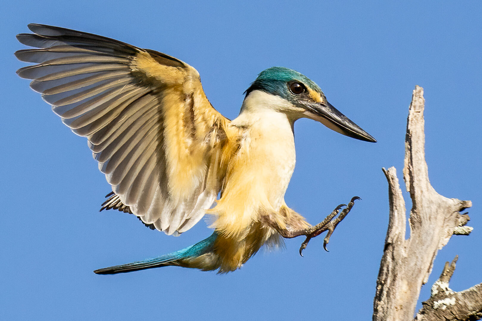 Merit For Print Landing In Progress By Kerri Anne Cook