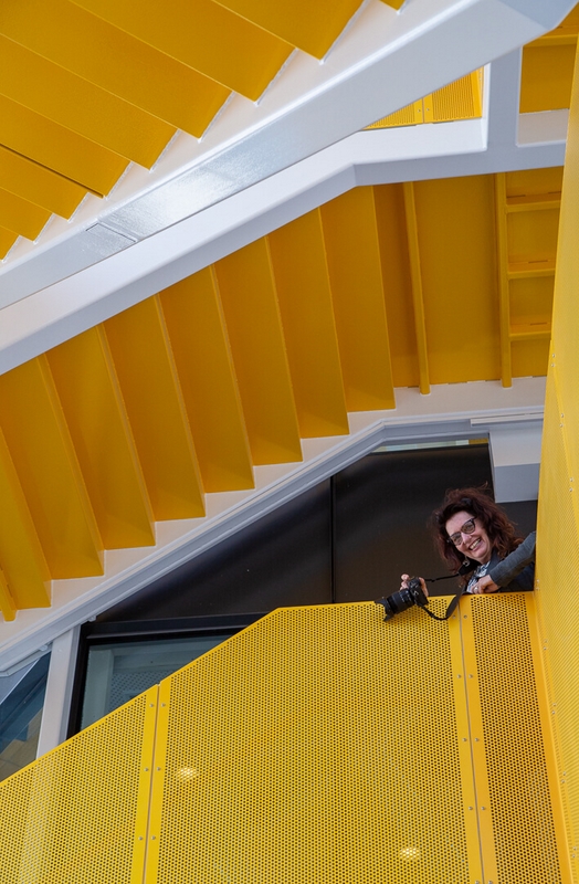 Honour For Print The Yellow Stairs By Lekha Suraweera