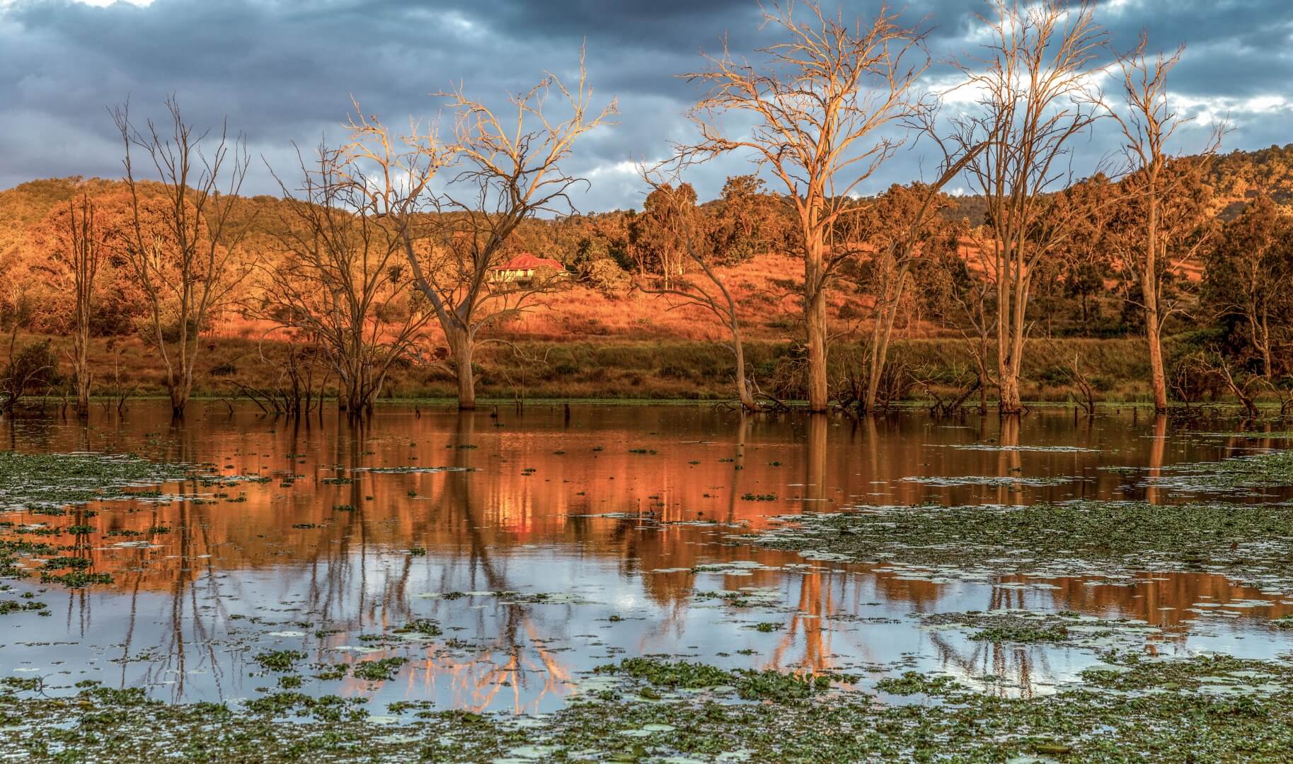 Honour For Digital Sunset At The Dam By Shuying Jiang